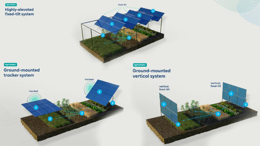 Agrivoltaic Systems 